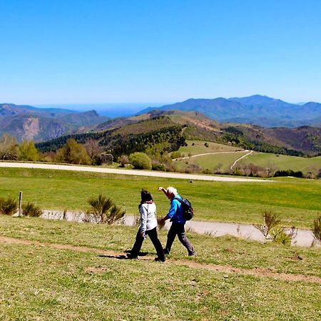 Naturaleza Y Aire Puro En El Pirineo Oriental En Una Bonita Casa Rural De Piedra Prats-de-Mollo-la-Preste Kültér fotó