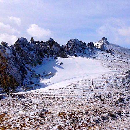 Naturaleza Y Aire Puro En El Pirineo Oriental En Una Bonita Casa Rural De Piedra Prats-de-Mollo-la-Preste Kültér fotó