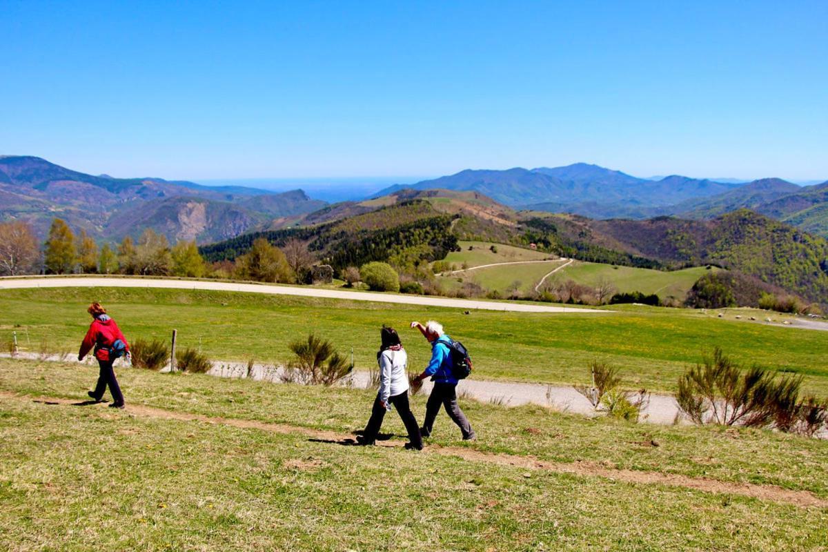 Naturaleza Y Aire Puro En El Pirineo Oriental En Una Bonita Casa Rural De Piedra Prats-de-Mollo-la-Preste Kültér fotó